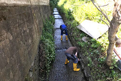 Mitarbeitende der GBA bei der Beseitigung von Flutschäden